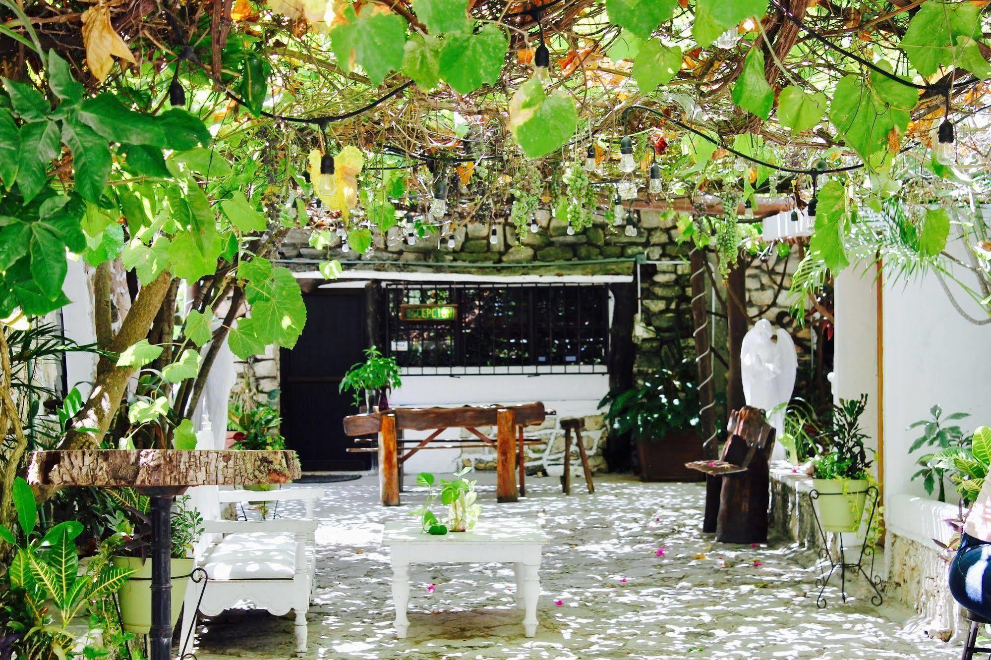 Posada Amor Hotel Boutique Puerto Morelos Exterior photo