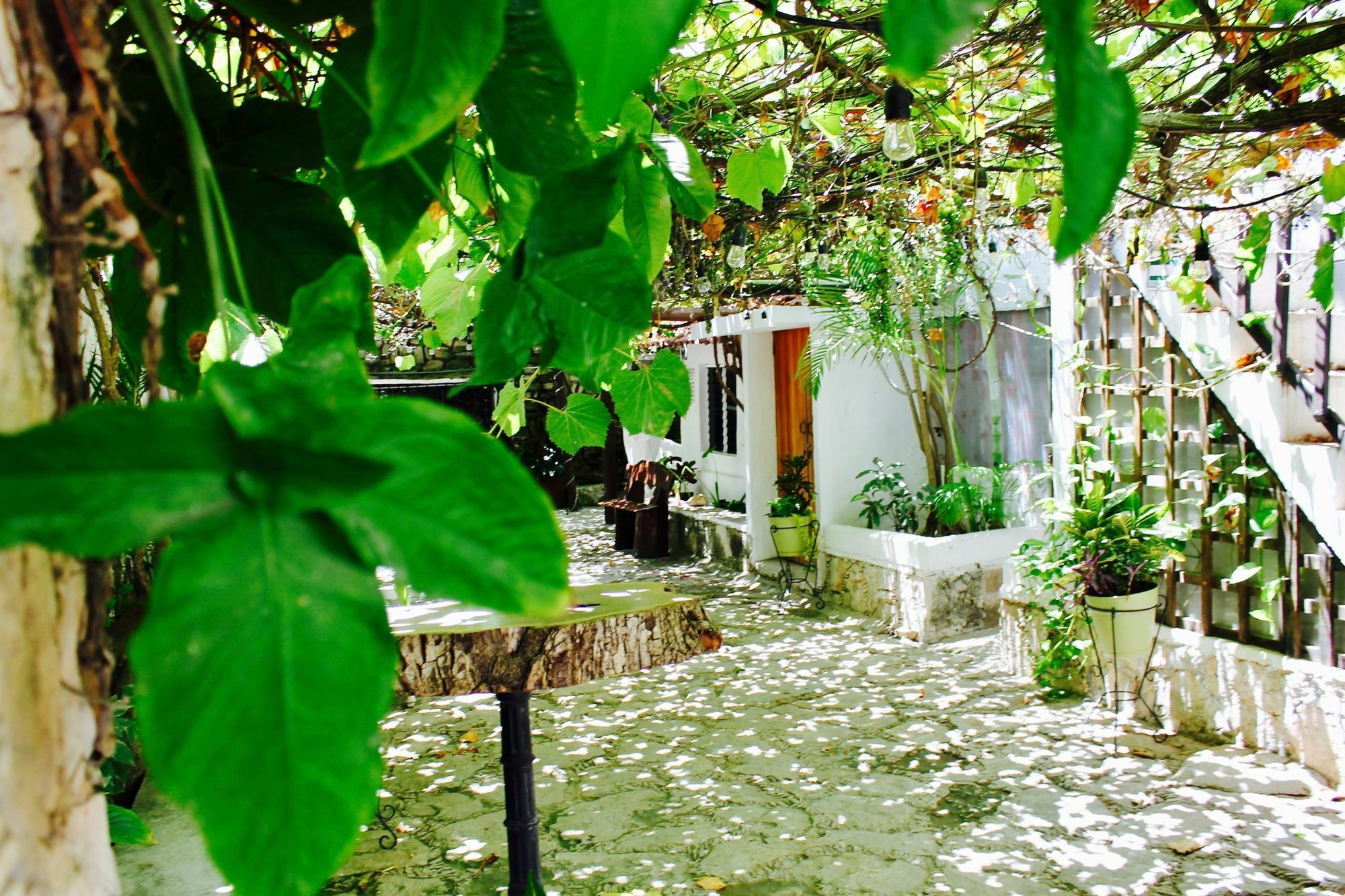 Posada Amor Hotel Boutique Puerto Morelos Exterior photo