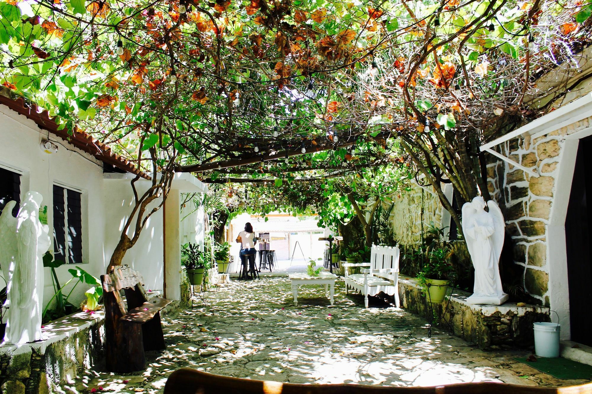 Posada Amor Hotel Boutique Puerto Morelos Exterior photo